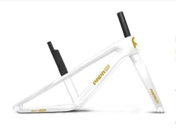 画像1: PAPABIKE CARBON FRAME  STORM PRO (1)